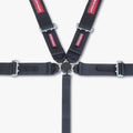 Harness 5pt Camlock PD 3in SFI