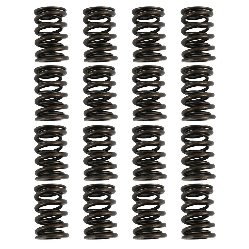 PAC RACING SPRINGS springs