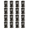 Valve Springs - HR Series (16)