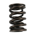 Valve Springs - HR Series (16)