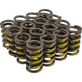 1.265 Valve Springs w/ Damper