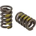 1.265 Valve Springs w/ Damper