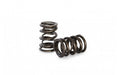 Kelford PACALOY DUAL VALVE SPRINGS (FORD NISSAN TOYOTA)
