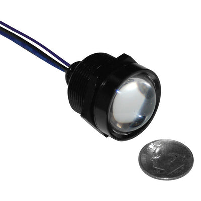 Letric Lighting Royal Flsh Led 1in Blk/Red