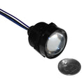 Letric Lighting Royal Flsh Led 1in Blk/Red