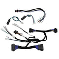 98-13 HARLEY DAVIDSON DSP AND ADD AN AMP HARNESS W/OE RADIO AND FAIRING