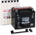 Yuasa YTX20-BS Maintenance Free AGM 12-Volt Battery w/Bottle