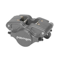 CALIPER,GP200,1.25,.25 RO