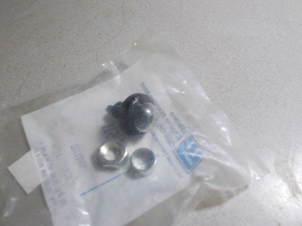 Walbro Fuel Pump/Filter Assembly