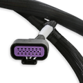 SUB HARNESS, GM GEN V GDI EARLY