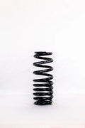 Barrel Spring 10in x 2.5in Progressive DLM