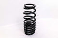 Barrel Spring 10in x 2.5in Progressive DLM