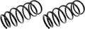 COIL SPRINGS