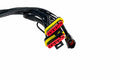 EUROPEAN WIRING ADAPTERS: FERRARI F