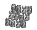 Supertech Toyota 4AGE 20V / VW 1.8T AEB / 2.7T APB 5V Intake Valve Spring - Set of 12