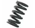 Tein Standard Springs 8kg 65mm ID 250mm Length (Pair)