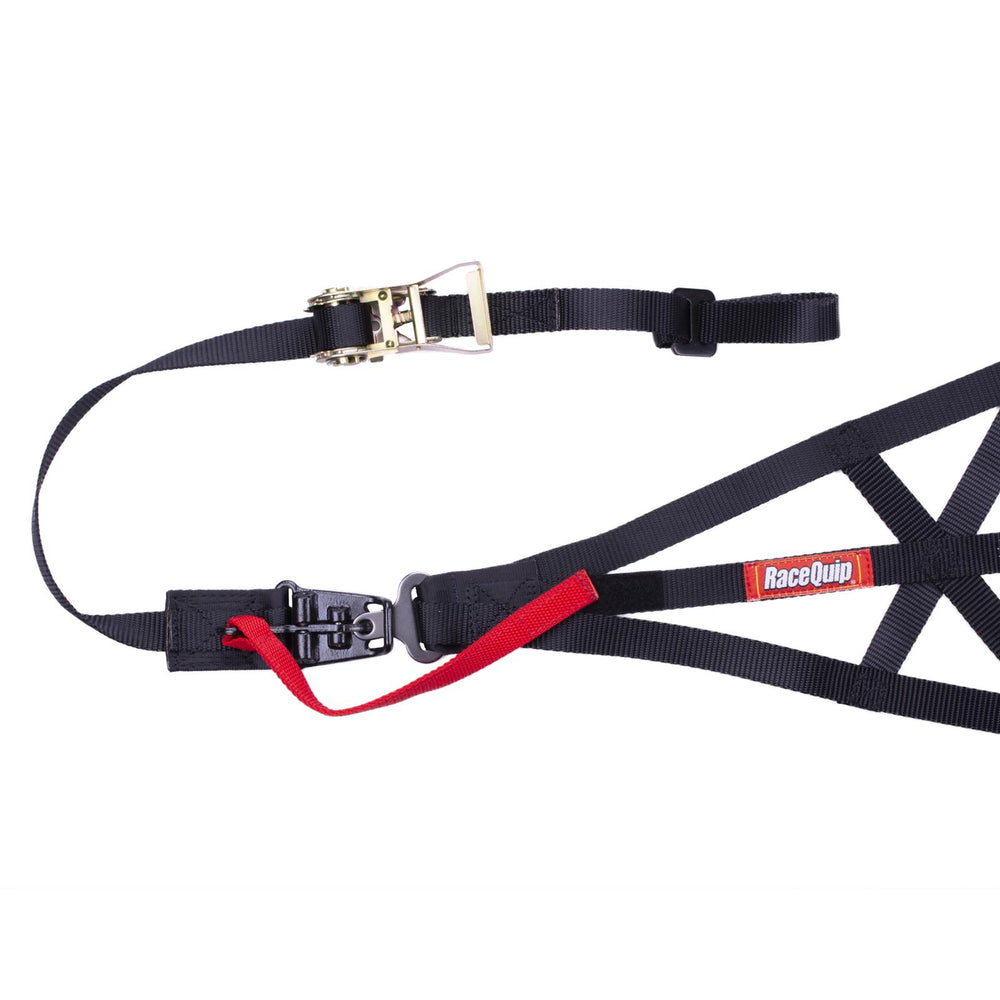 RaceQuip Black SFI 37.1 Side Roll Cage Net