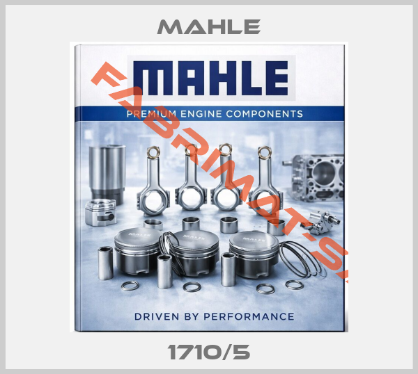 Mahle auto part