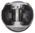 FO 6.0L DIESEL V8 (144060030) W/PCR PISTON WITH RINGS