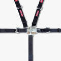 Harness 5pt L/L PD 2in L/W SFI
