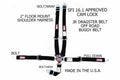 SFI 16.1 CAM-LOCK HARNESS 2' PULL D