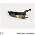 DELPHI auto part