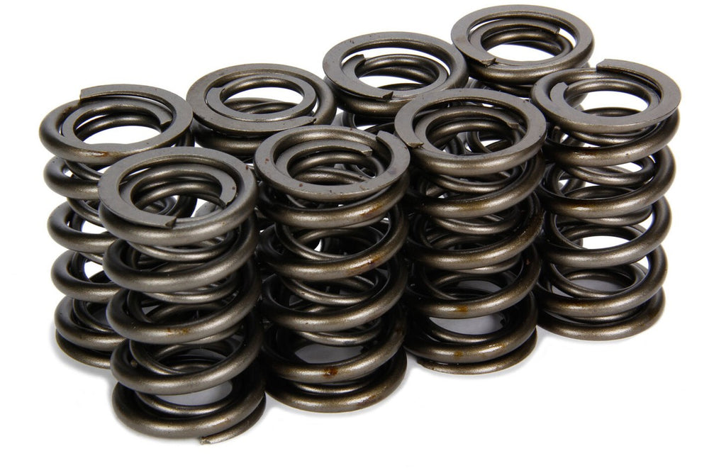 VALVE SPRINGS