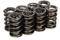 VALVE SPRINGS