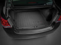 WeatherTech 2025 MINI Countryman Scratch Protection - Transparent