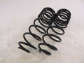 Skyjacker 97-06 TJ Rear DRLT Coils 4in Rear