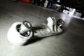 Megan Racing Front Lower Arm Bushing Nissan 350Z Z33 03-09 G35 03-06 sedan coupe 4pcs MSRP $110 1.8lbs 8x5x4