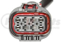STANDARD IGN tail light