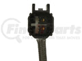 STANDARD EXHAUST GAS TEMPERATURE SE