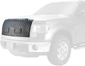 04 FORD HERITAGE/9903 F SERIES WINTER FRONTS