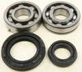All Balls Racing 87-09 Yamaha YFZ350 Banshee Crank Shaft Bearing Kit