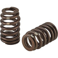 604 Beehive Valve Springs 16