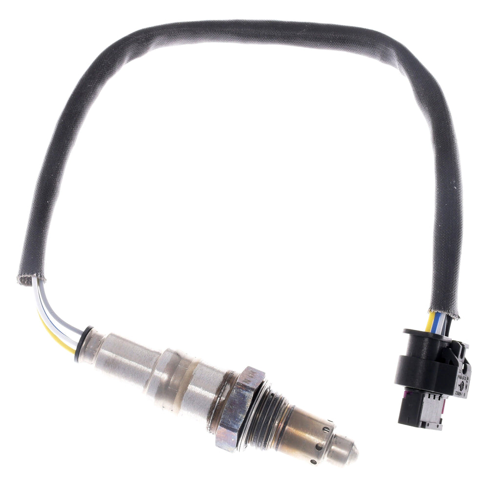 Walker Products Inc. - wideband gauge