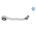 DELPHI control arms detail