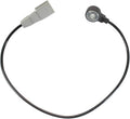 STANDARD IGN auto part detail