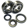Athena 94-02 Suzuki RM 250 Main Bearing & Seal Kit