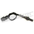 Walker Products Inc. - auto part