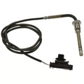 STANDARD EXHAUST GAS TEMPERATURE SE