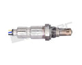 Walker Products Inc. - auto part