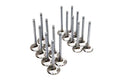 Brian Crower Mitsubishi 4B11T Evolution X 35mm Intake Valves