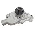 HP Alm Water Pump SBC Short