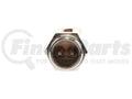 STANDARD IGN auto part detail