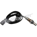 Walker Products Inc. - auto part