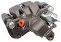 LOADED CALIPERS
