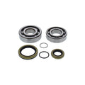 All Balls Racing 08-11 Gas-Gas EC200 Crank Shaft Bearing Kit