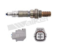 Walker Products Inc. - Sensors auto part detail